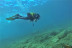 Bautismo de Buceo Try Scuba con Fotos (Telde, Gran Canaria)