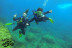 Bautismo de Buceo Try Scuba con Fotos (Telde, Gran Canaria)