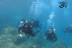 Bautismo de Buceo Try Scuba con Fotos (Telde, Gran Canaria)