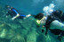 Bautismo de Buceo con Fotos y Vídeo (Tarragona)