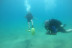 Bautismo de Buceo con Fotos y Vídeo (Tarragona)