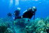 Bautismo de Buceo (Granada)