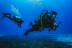 Bautismo de Buceo (Granada)