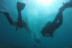 Bautizo de Buceo con Fotos y Vídeos Opcionales (Lloret de Mar, Girona)