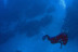 Bautismo de Buceo (Andalucía)