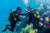 Bautismo de Buceo con Fotos (Radazul, Santa Cruz de Tenerife)