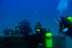Bautismo de Buceo (Valencia)