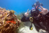 Bautismo de Buceo con Reportaje Fotográfico (Calpe, Alicante)