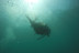 Bautismo de Buceo (Dénia, Alicante)