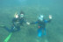 Bautismo de Buceo (Dénia, Alicante)