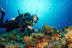 Bautismo de Buceo (Puerto Rico, Gran Canaria)