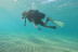 Bautizo de Buceo con Vídeo (La Azohía, Murcia)
