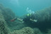 Bautizo de Buceo con Vídeo (La Azohía, Murcia)