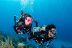 Bautizo de Buceo en el Mar con Fotografías (Barcelona)