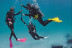 Bautizo de Buceo en el Mar con Fotografías (Barcelona)