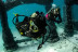 Bautizo de Buceo en el Mar con Fotografías (Barcelona)