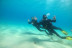 Bautizo de Buceo (Tarifa, Cádiz)