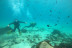 Bautizo de Buceo (Tarifa, Cádiz)