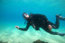 Bautizo de Buceo (Tarifa, Cádiz)