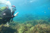 Bautizo de Buceo (Tarifa, Cádiz)