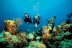 Bautizo de Buceo Individual (Tossa de Mar, Girona)