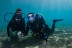 Bautizo de Buceo con Fotos y Vídeo en Puerto del Carmen (Las Palmas, Lanzarote)