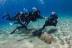 Bautizo de Buceo con Fotos y Vídeo en Puerto del Carmen (Las Palmas, Lanzarote)