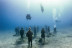 Bautizo de Buceo con Fotos y Vídeo en Puerto del Carmen (Las Palmas, Lanzarote)