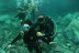 Bautizo de Buceo (Tenerife)