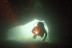 Bautizo de Buceo (Tenerife)