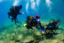 Descubre el Buceo (Tossa de Mar, Girona)