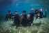 Descubre el Buceo (Tossa de Mar, Girona)