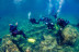 Descubre el Buceo (Tossa de Mar, Girona)