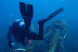 Bautizo de Buceo con Fotos (Almerimar, Almería)