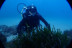 Bautizo de Buceo con Fotos (Almerimar, Almería)