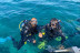 Bautizo de Buceo con Fotos (Almerimar, Almería)
