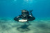 Bautizo de Buceo (Tabaiba, Santa Cruz de Tenerife)