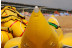 Banana Boat (Barcelona)