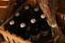 Degustación de Cerveza Solidaria y Gourmet en BdeGust (Caldes de Malavella, Girona)