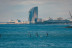 Amanecer o Atardecer en Paddle Surf (Barcelona)