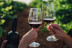 Visita a la Bodega y Almazara Aldonza Gourmet con Degustación de Cava, Vinos y Aceite AOVE para dos (Munera, Albacete)