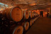 Visita a la Bodega y Almazara Aldonza Gourmet con Degustación de Cava, Vinos y Aceite AOVE para dos (Munera, Albacete)