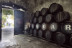 Visita Guiada a la Bodega Alvear con Cata de 3 Vinos (Montilla, Córdoba)