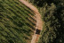 Paseo por Viñedos en 4x4 y Visita a Bodega Arínzano con Cata de Gama Completa de Vinos y Aperitivo (Navarra)
