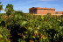 Escapada con Cena en Hotel Bodega El Moral 4* y Visita a Bodega Las Encomiendas y Cata para dos (Ribera del Fresno, Badajoz)