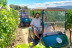 Visita a Viñedos en Buggy, Cata de Vinos y Aperitivo en Can Casals (Barcelona)