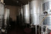 Visita a Viñedos en Buggy, Cata de Vinos y Aperitivo en Can Casals (Barcelona)