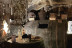 Spa y Cena en Hotel & Spa Villa de Mogarraz 4* y Visita a La Bodega Medieval con Degustación y Aperitivo para dos (Salamanca)