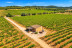 Visita y Cata Premium de Vinos en Bodega Es Fangar Vins (Mallorca)