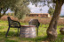 Visita a Bodega La Vinyeta y Cata de Vinos para dos (Girona)